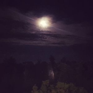 Meet your Posher, Vince